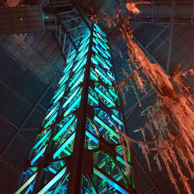 16671739904_087b85168b_z