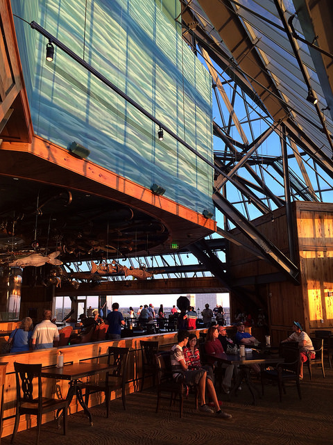 16753576813_206c52d6e2_z