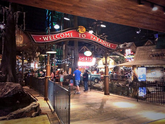 17164988297_bc49102806_z