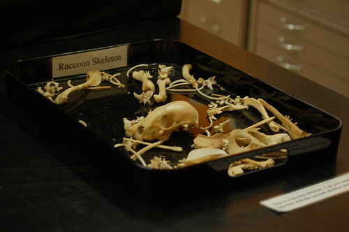 You can rebuild him! Chucalissa, Memphis, Tenn. You can rebuild him! Chucalissa, Memphis, Tenn.