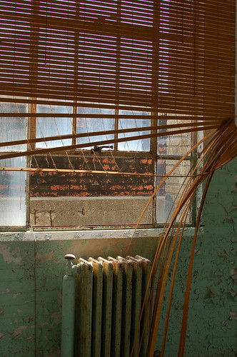 Blinds, Sears Crosstown, Memphis, TN Blinds, Sears Crosstown, Memphis, TN