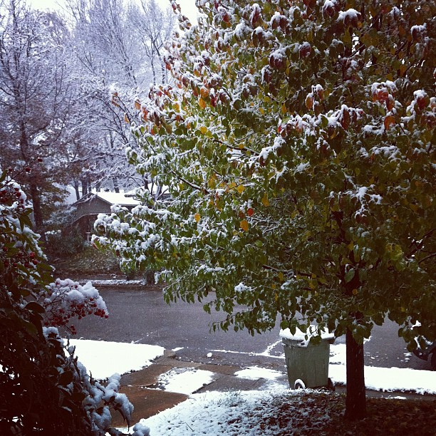 Winter, Memphis, Tenn. Winter, Memphis, Tenn.
