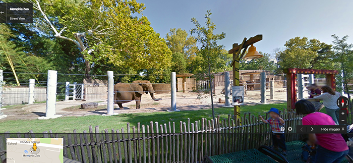 Memphis Zoo Google Trekker - smaller