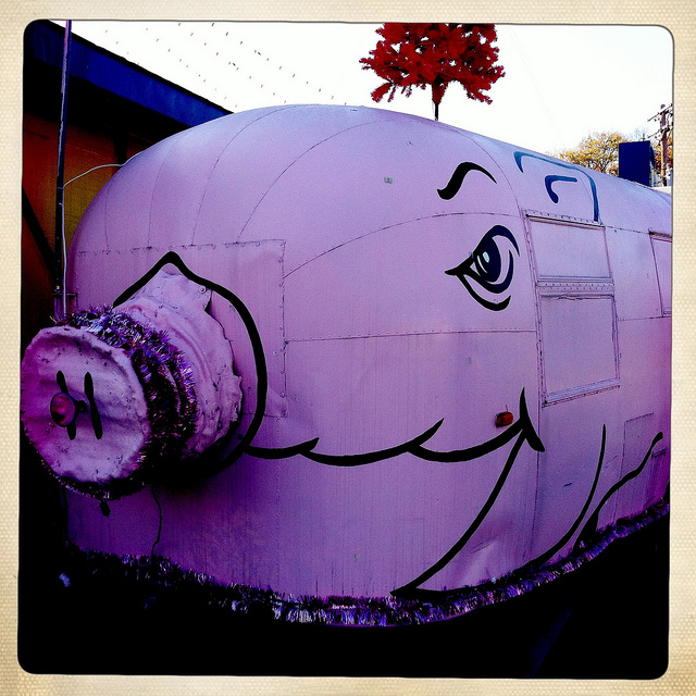 Pig, Marlowe's Barbecue, Memphis, Tenn. Pig, Marlowe's Barbecue, Memphis, Tenn.