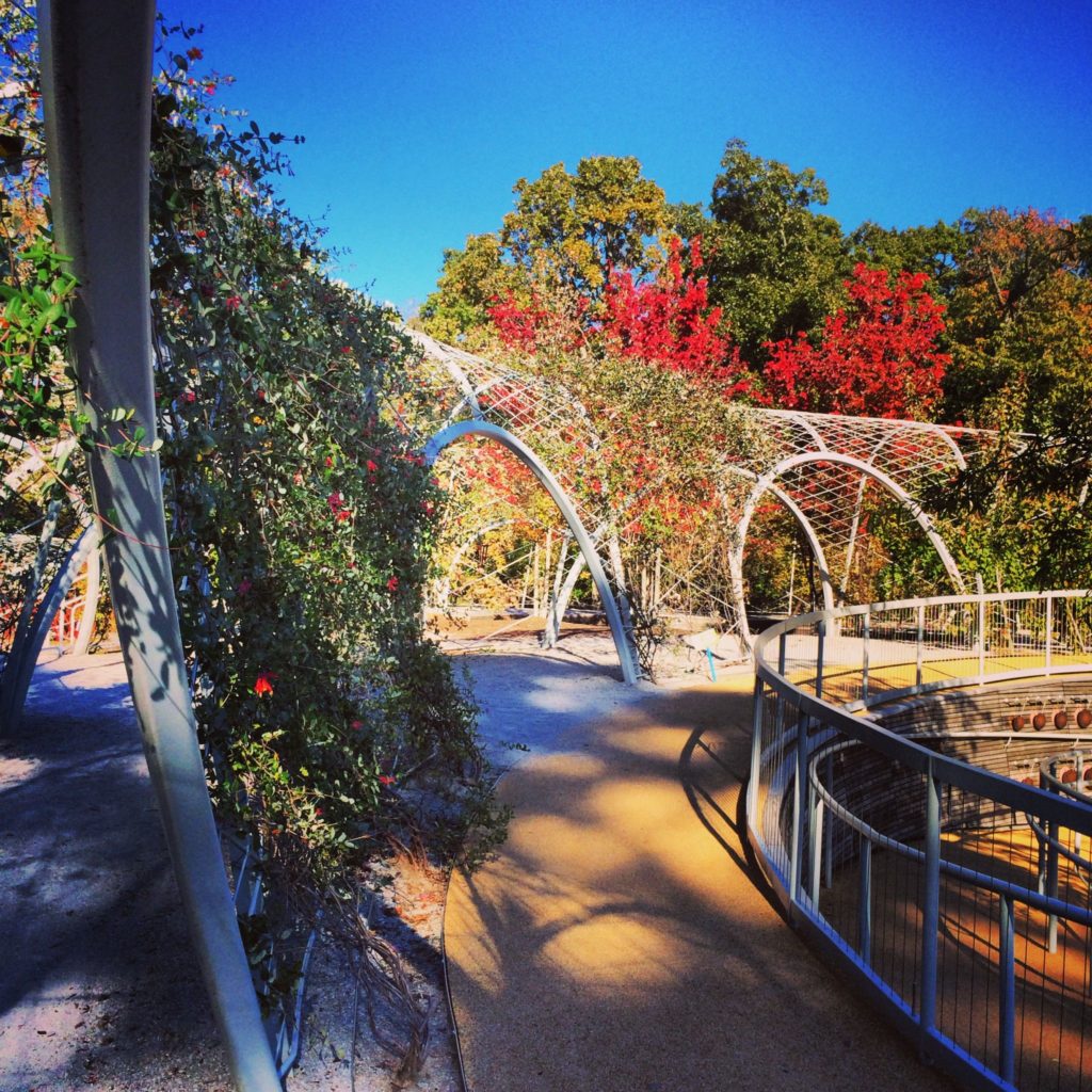 shelby-farms-playground