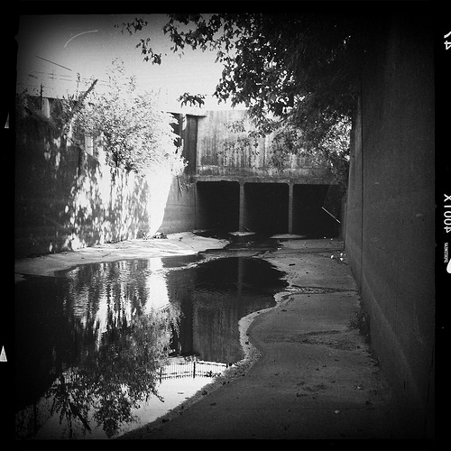 Into the storm drains, Memphis, Tenn. Into the storm drains, Memphis, Tenn.